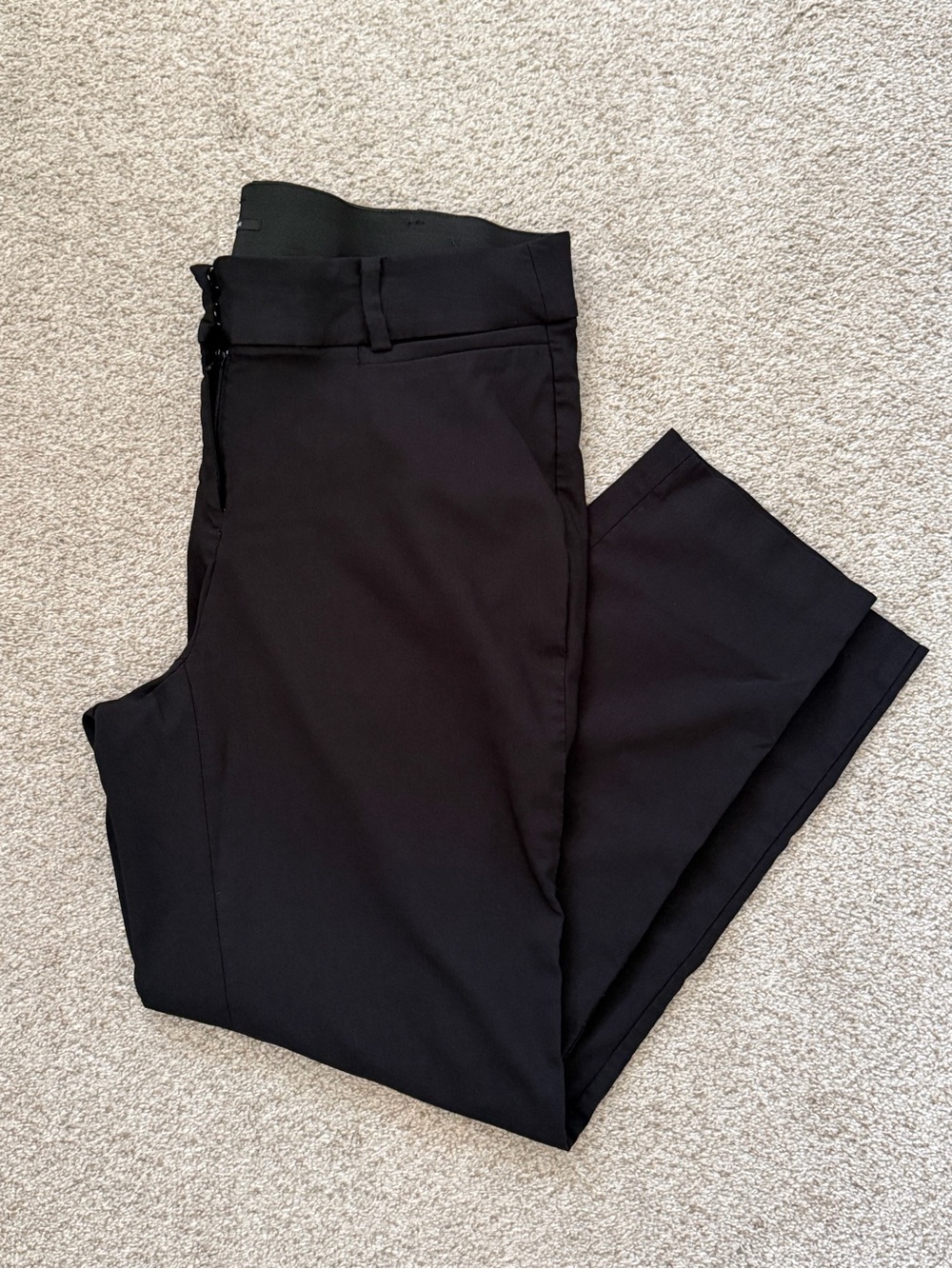 Lane Bryant the Allie pant